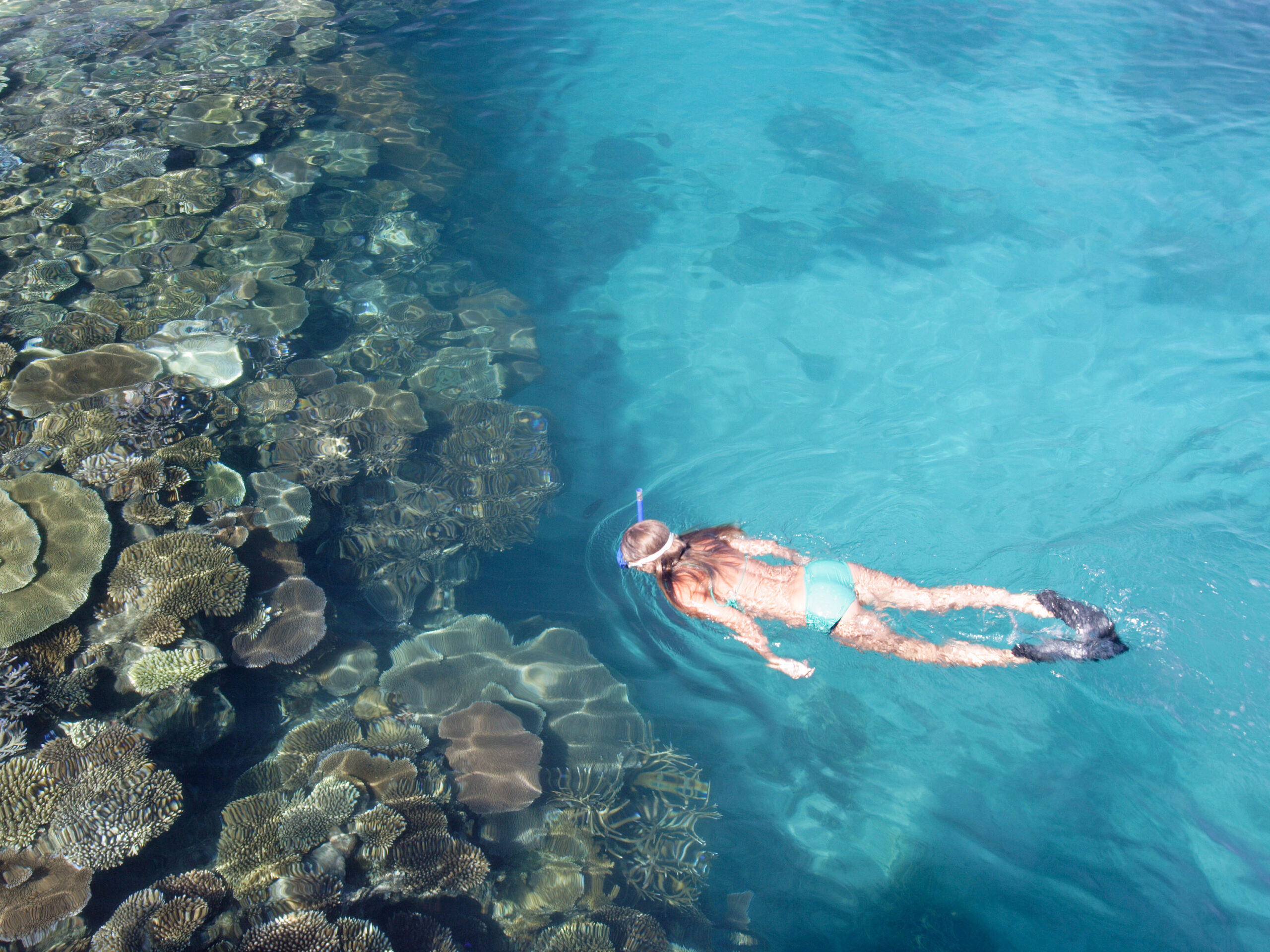 Coral Reef Snorkelling